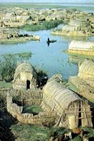 Vinice of Iraq 	